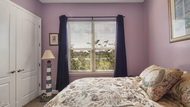 bedroom with a closet and carpet flooring