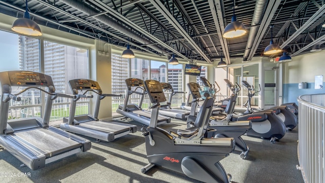 exercise room with plenty of natural light and carpet