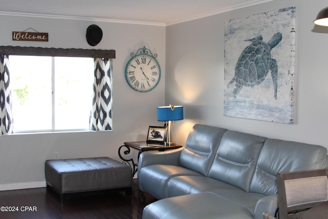 living room with dark hardwood / wood-style flooring and crown molding