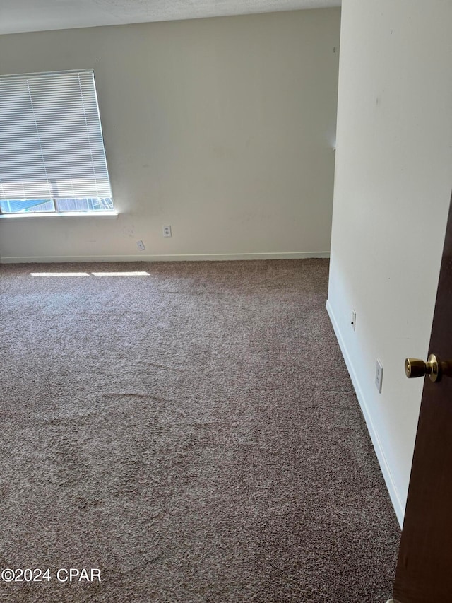 unfurnished room featuring carpet