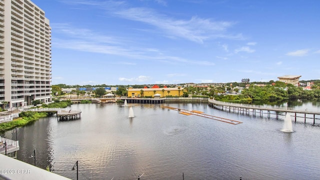 water view with a dock