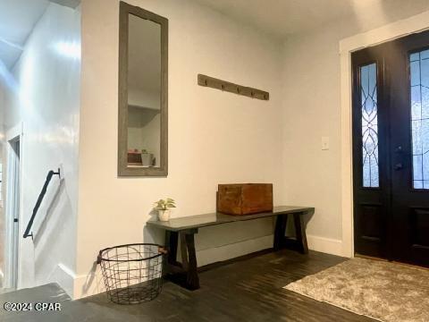 foyer entrance with dark hardwood / wood-style floors