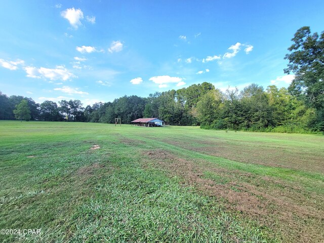 view of yard featuring a rural view