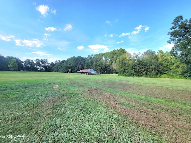 view of yard with a view of trees and a rural view