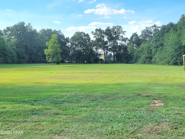 view of yard featuring a rural view