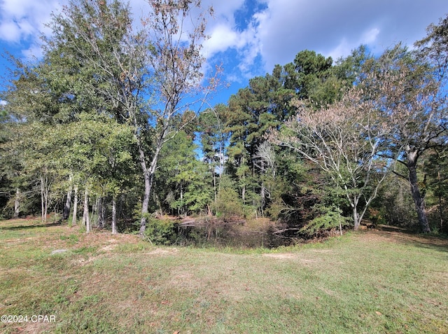 view of yard with a wooded view