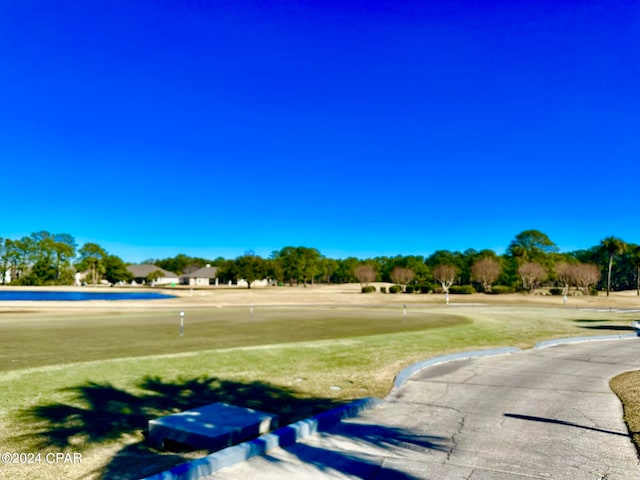 view of community with a yard