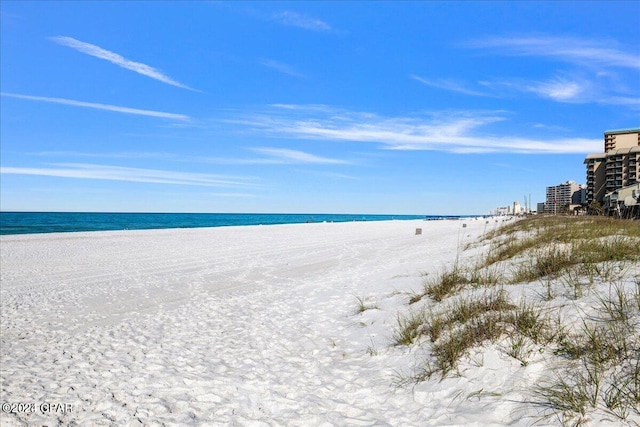 water view featuring a beach view