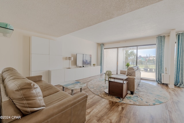 living room with a textured ceiling and light hardwood / wood-style floors