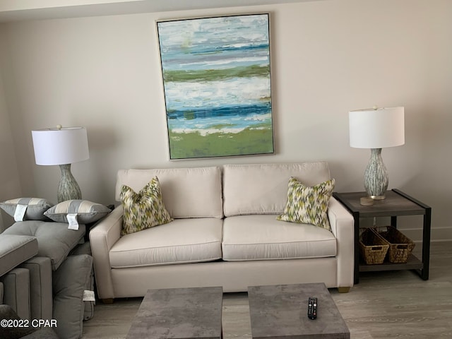 living room featuring wood-type flooring