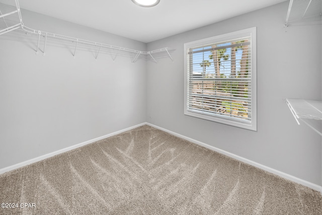 walk in closet featuring carpet