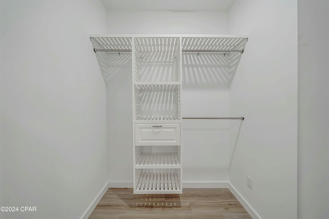 walk in closet with light hardwood / wood-style floors