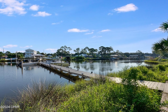 dock area with a water view