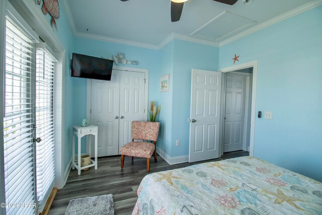 bedroom featuring ceiling fan, a closet, dark hardwood / wood-style floors, and ornamental molding