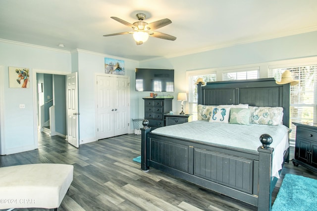 bedroom with multiple windows, baseboards, dark wood-type flooring, and crown molding