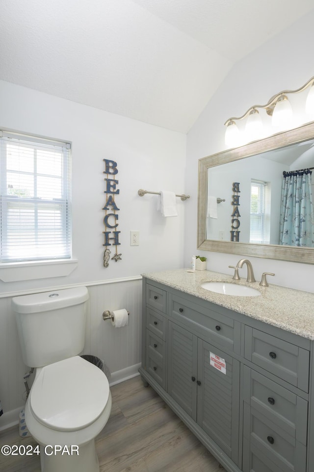 bathroom featuring lofted ceiling, vanity, toilet, and hardwood / wood-style floors