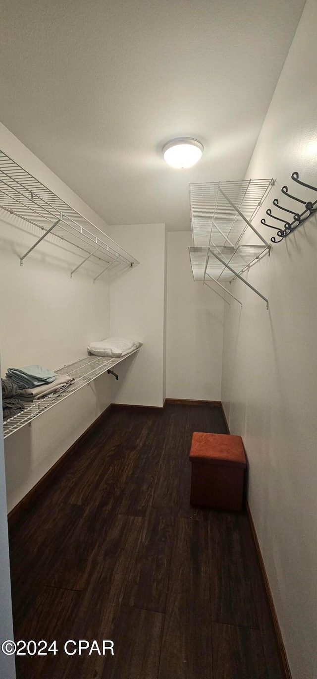 spacious closet featuring dark hardwood / wood-style floors