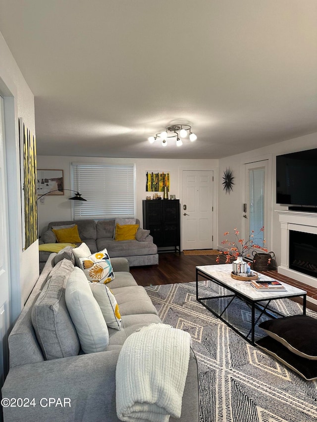 living room featuring track lighting and wood-type flooring