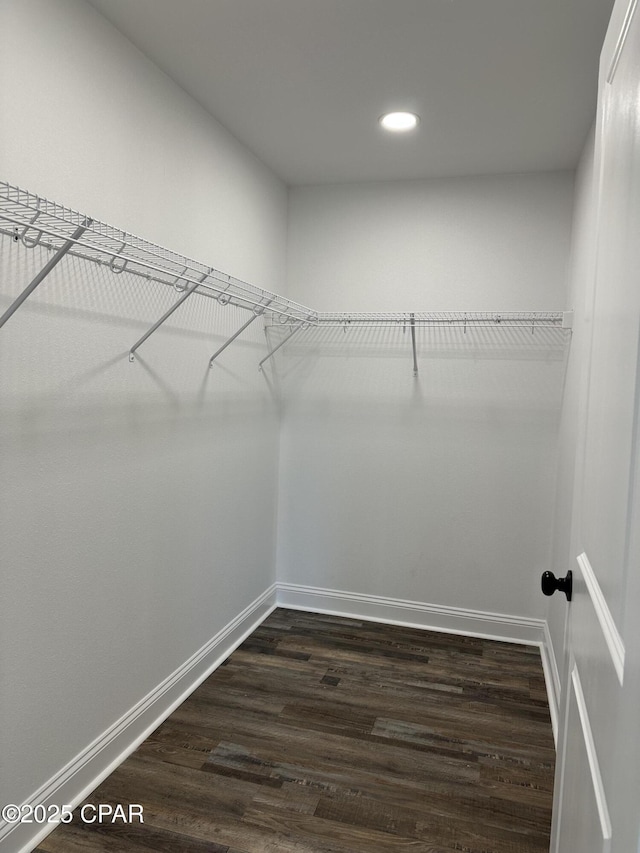 walk in closet with dark wood-type flooring