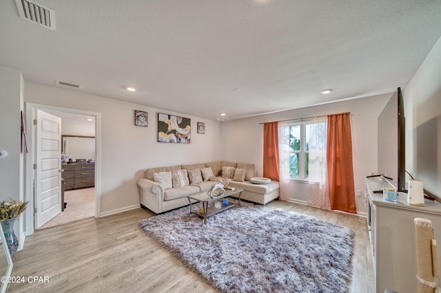 living room with a textured ceiling and light hardwood / wood-style flooring