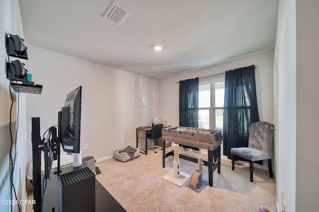 interior space with carpet floors and a textured ceiling