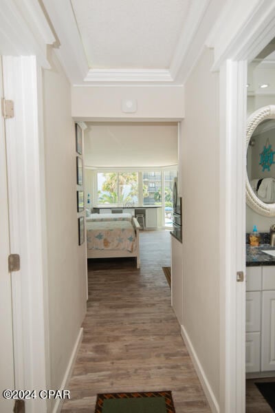 hall with hardwood / wood-style flooring and a tray ceiling