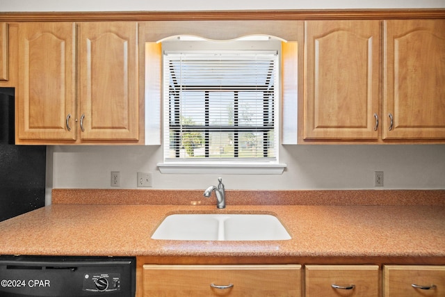 kitchen featuring dishwasher and sink