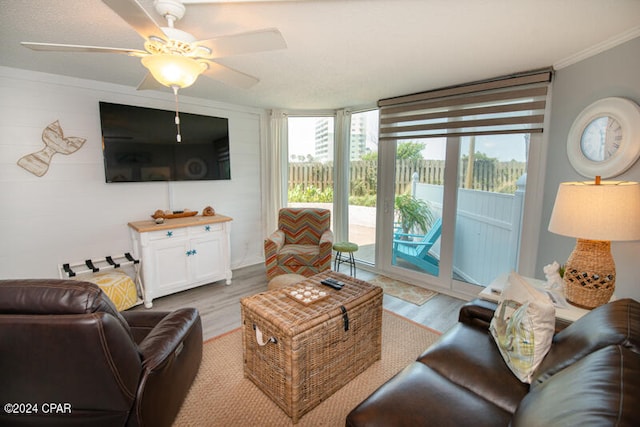 living room featuring ceiling fan, ornamental molding, and light hardwood / wood-style flooring