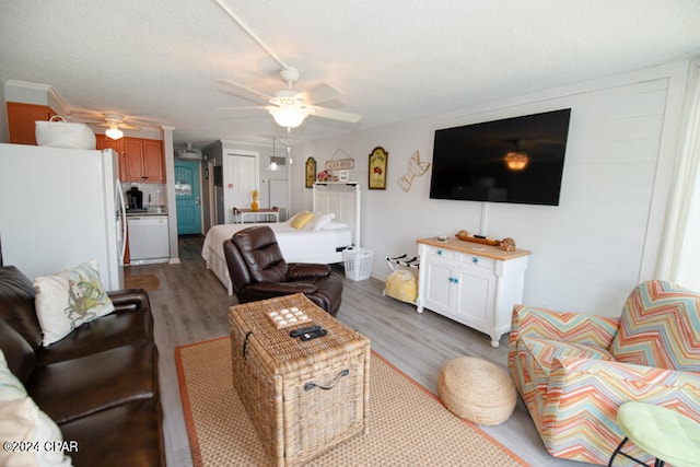 living room with light wood-type flooring, ceiling fan, and a textured ceiling