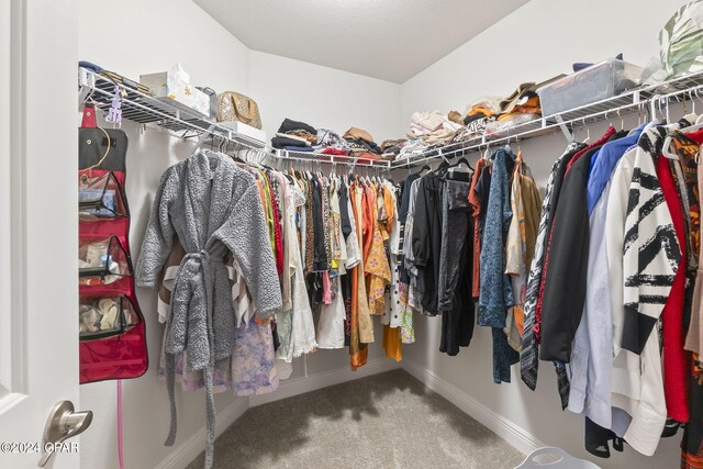 spacious closet with carpet