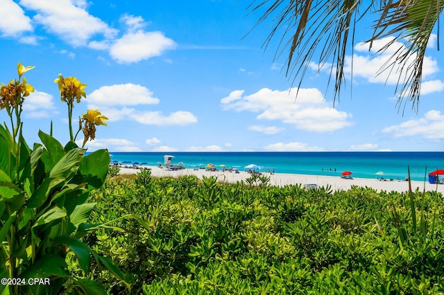 property view of water featuring a view of the beach