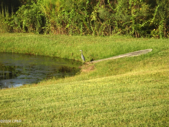 view of yard with a water view