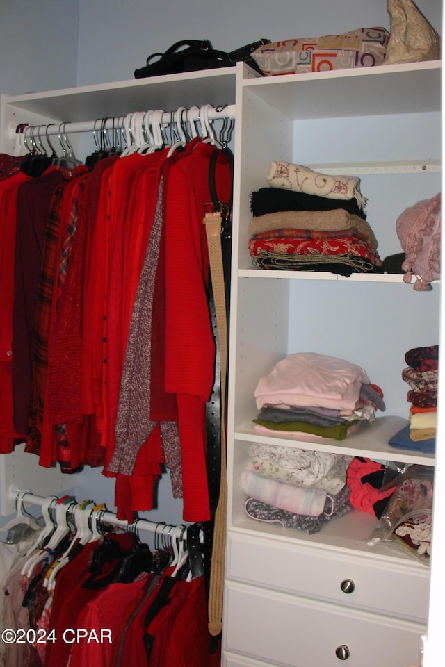 view of closet