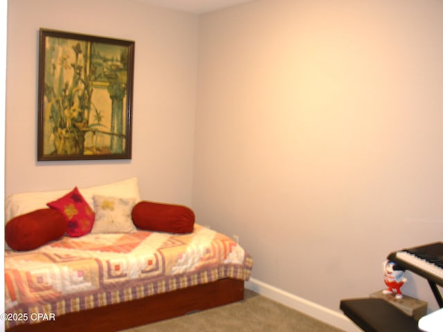 bedroom with carpet floors