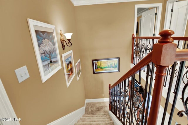 stairway with carpet floors and ornamental molding