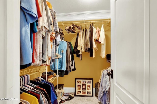 walk in closet featuring carpet flooring