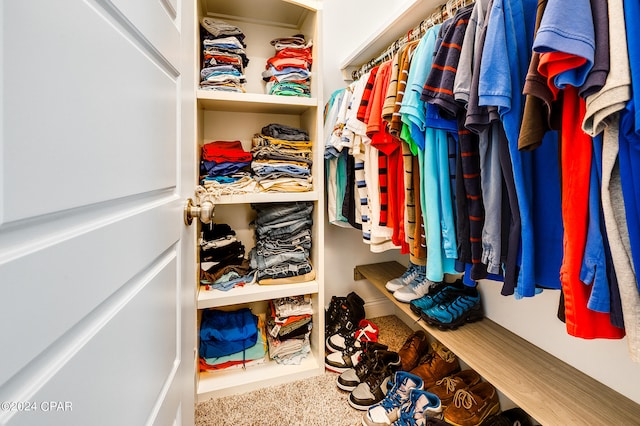 view of walk in closet