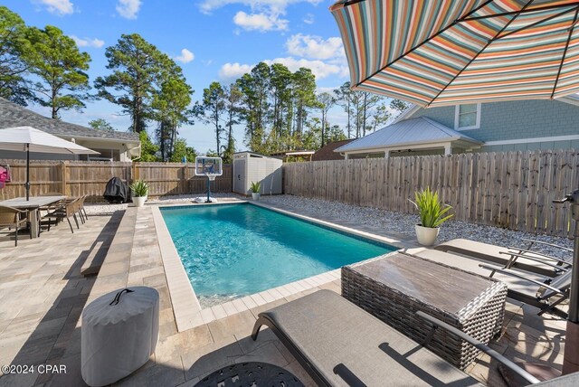 view of pool with a patio and a storage shed