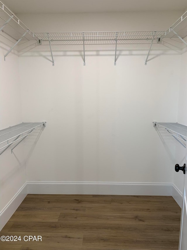 spacious closet featuring dark hardwood / wood-style floors