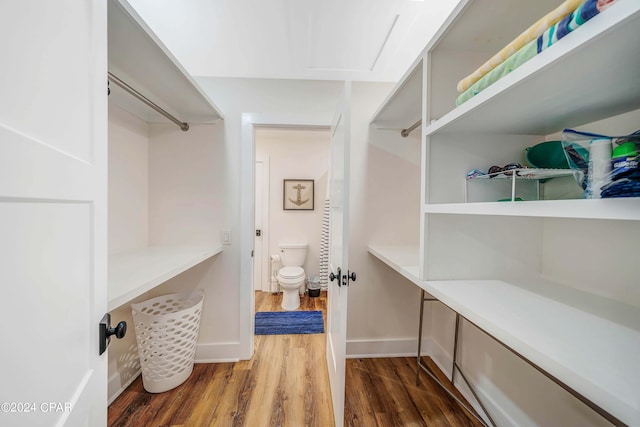 spacious closet featuring dark wood-type flooring