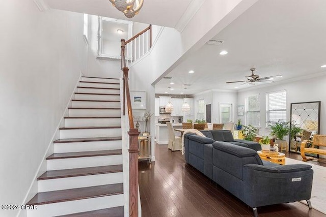 living area featuring stairs, crown molding, a ceiling fan, and dark wood-type flooring