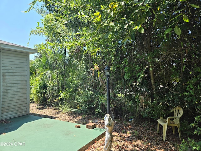 view of yard featuring a patio area