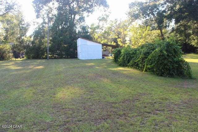 view of yard featuring a storage shed