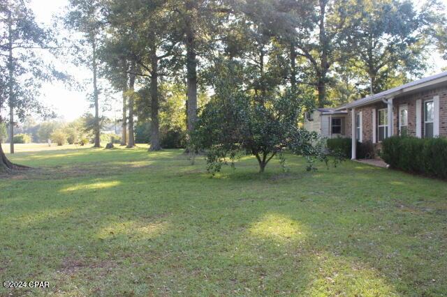 6562 Messer Rd, Grand Ridge, FL 32442 - view of yard