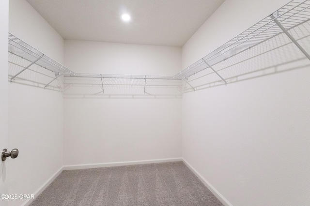 walk in closet with carpet