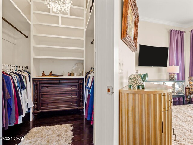 walk in closet with dark hardwood / wood-style floors and a chandelier