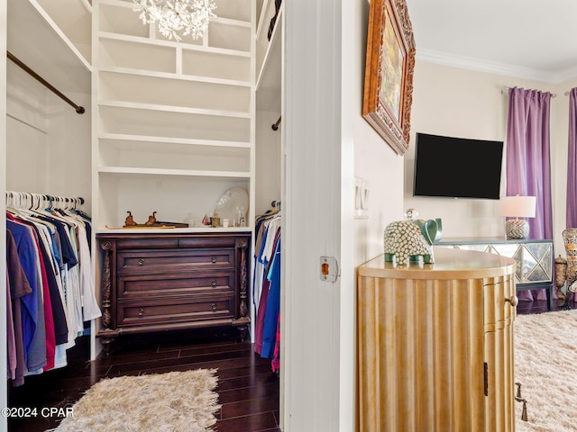 spacious closet featuring a chandelier and dark wood finished floors