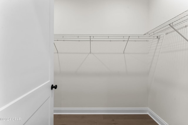 spacious closet featuring dark hardwood / wood-style floors