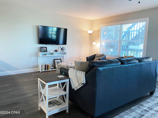 living room with dark hardwood / wood-style flooring