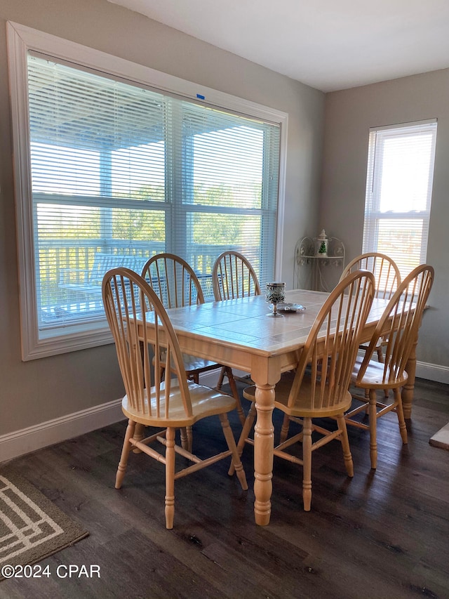 dining space featuring dark hardwood / wood-style flooring and a healthy amount of sunlight